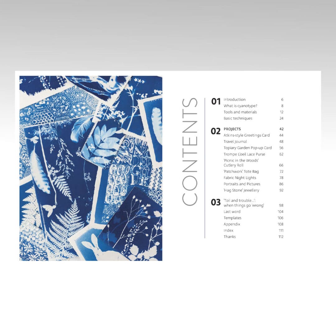 Beginner's Guide to Cyanotype bok engelsk