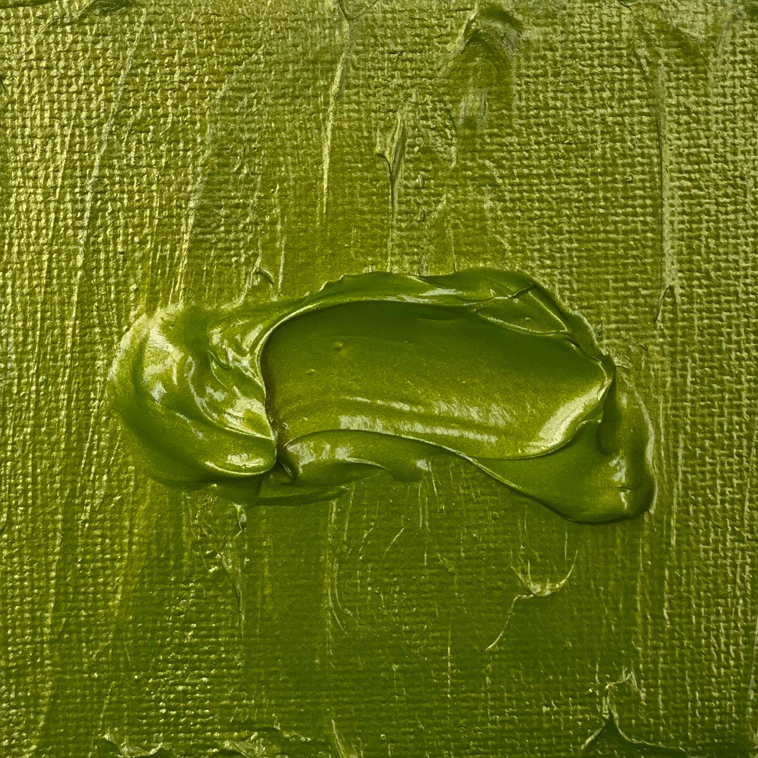 The Crafters Workshop Stencil Butter Fern pasta 2oz grønn