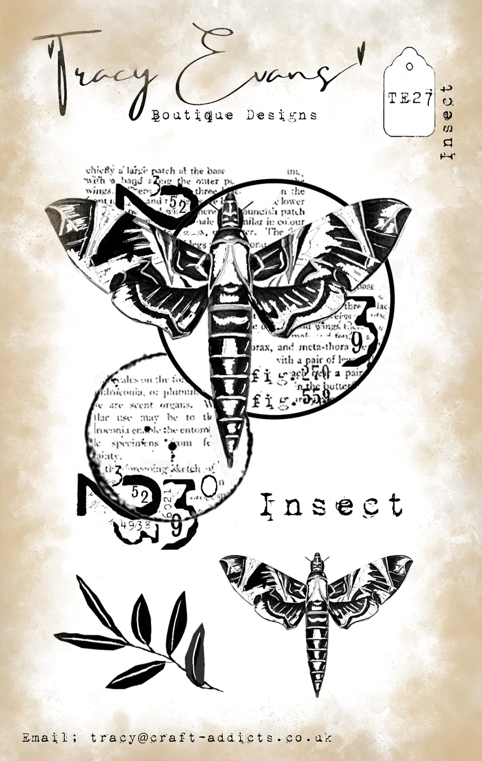 Tracy Evans Design TE027 stempel A7 insekt