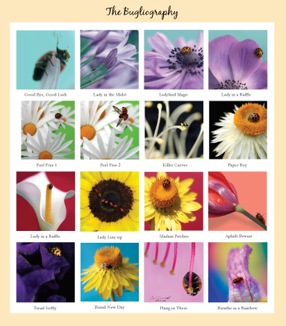 Jane Davenport Ladybird Ladybird bok marihøne kunst