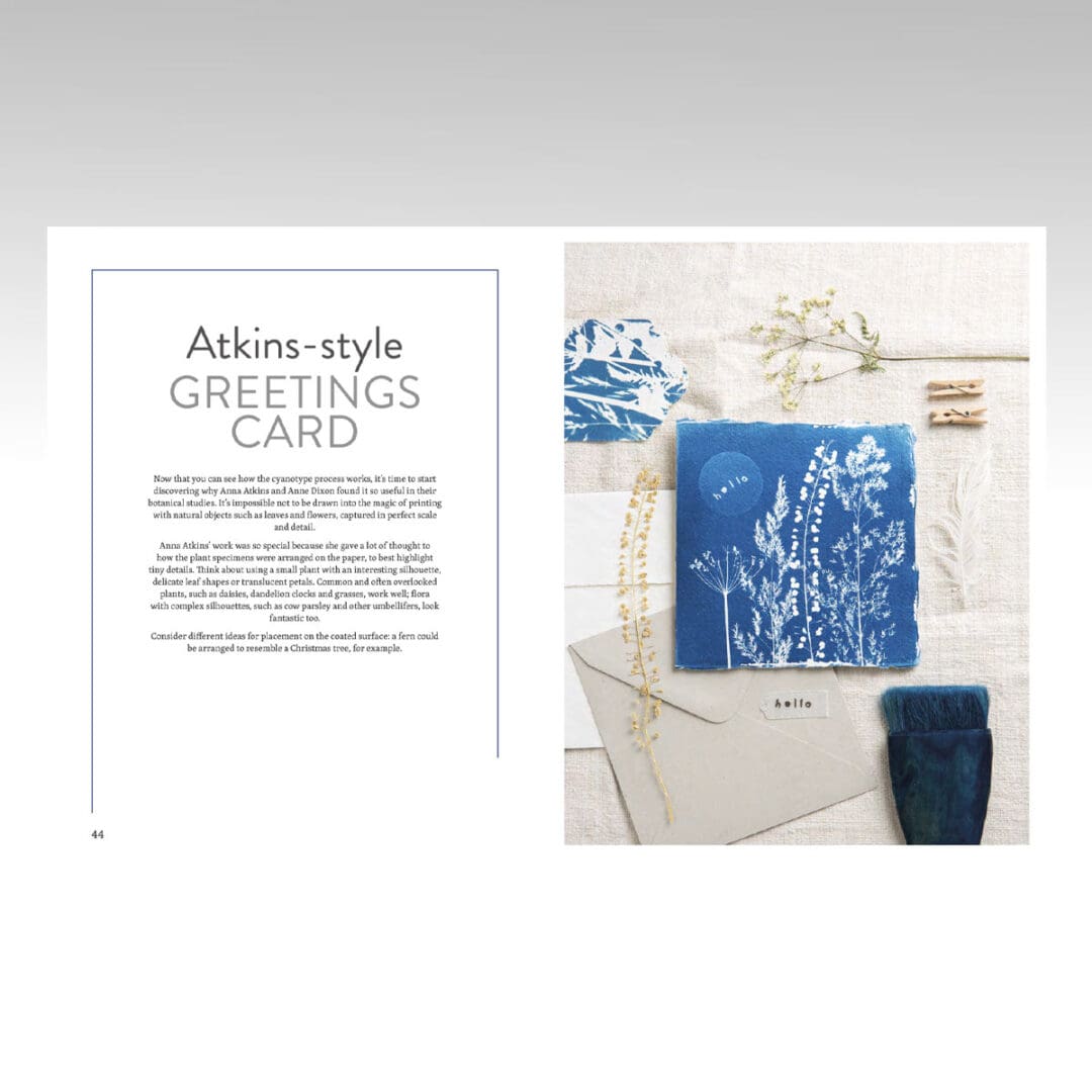 Beginner's Guide to Cyanotype bok engelsk