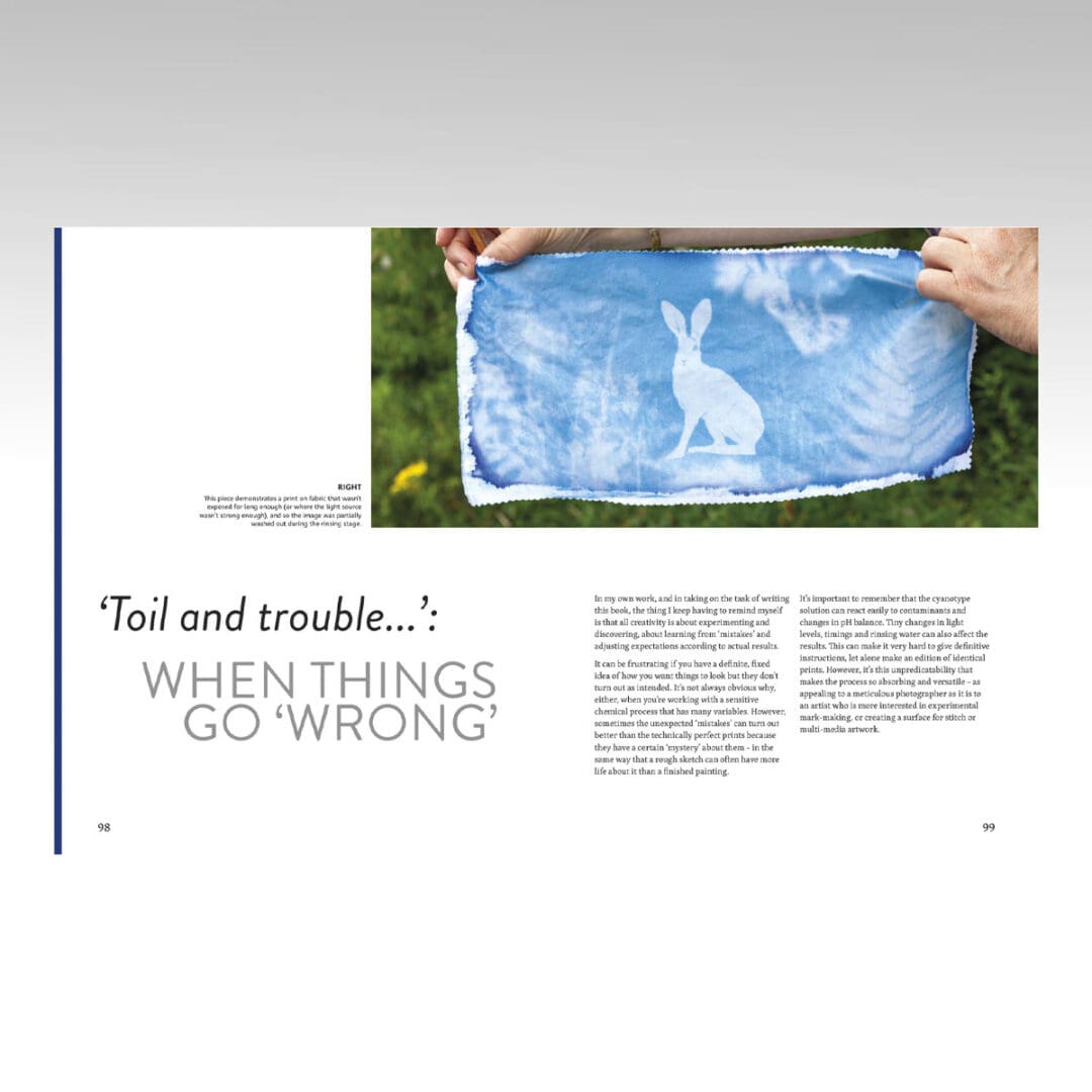 Beginner's Guide to Cyanotype bok engelsk