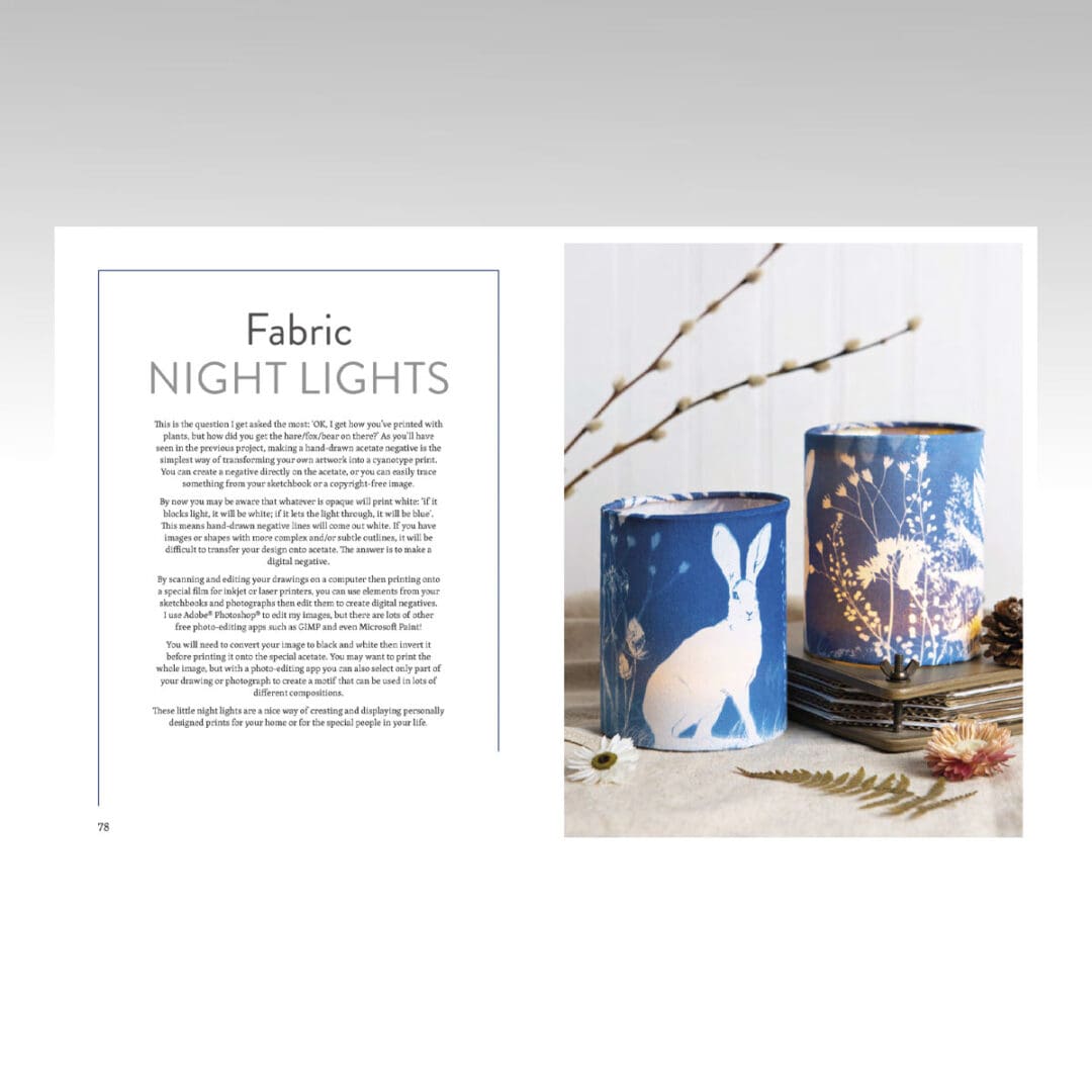 Beginner's Guide to Cyanotype bok engelsk