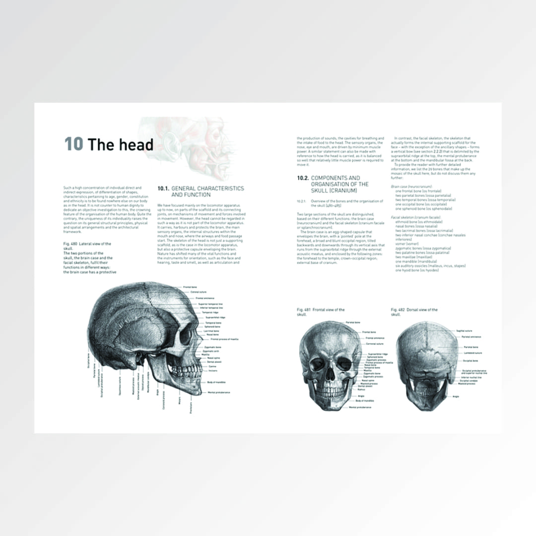 KEM The Complete Guide to Anatomy bok for kunstnere