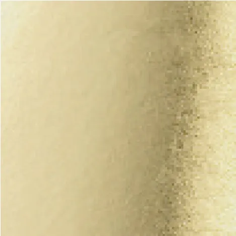 Eytzinger Platin-Weißgold 420 bladgull hvitt