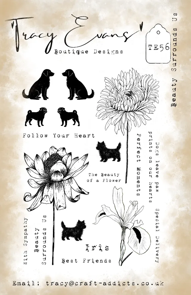 Tracy Evans Design TE056 stempel A5 Beauty Surrounds Us