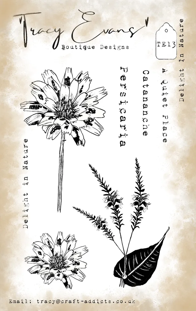 Tracy Evans Design TE013 Delight In Nature stempel A6