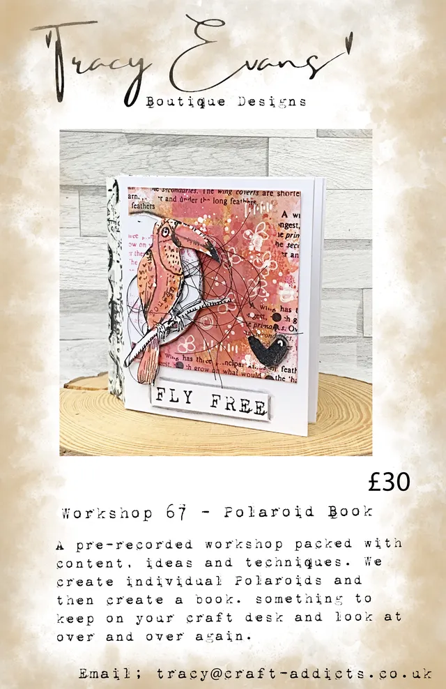 Tracy Evans Design Workshop 067 Polaroid Book nettkurs