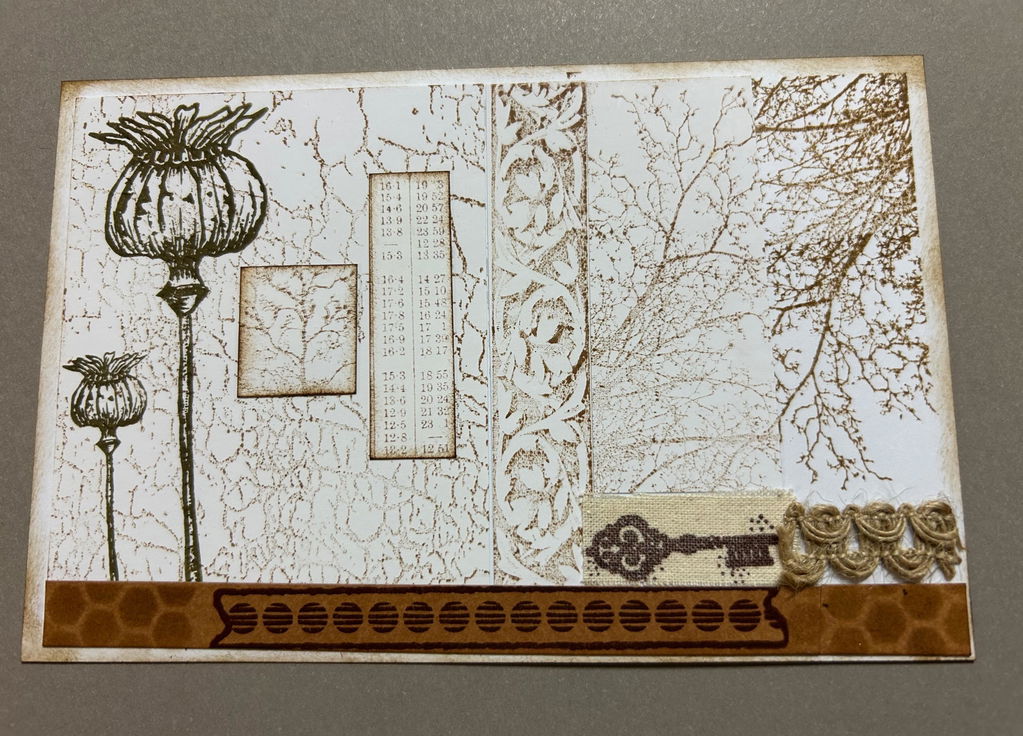 Tracy Evans Design TE040 Seedheads stempel A7 frøstander