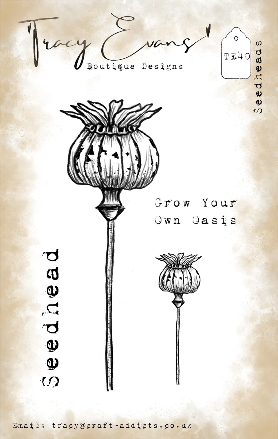 Tracy Evans Design TE040 Seedheads stempel A7 frøstander