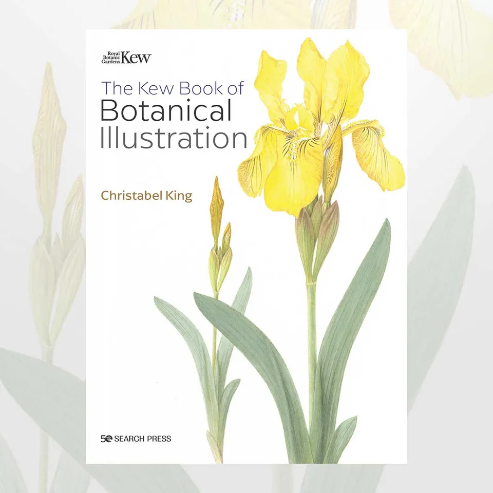 The Kew Book of Botanical Illustration bok innbundet