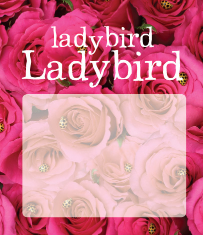 Jane Davenport Ladybird Ladybird bok marihøne kunst