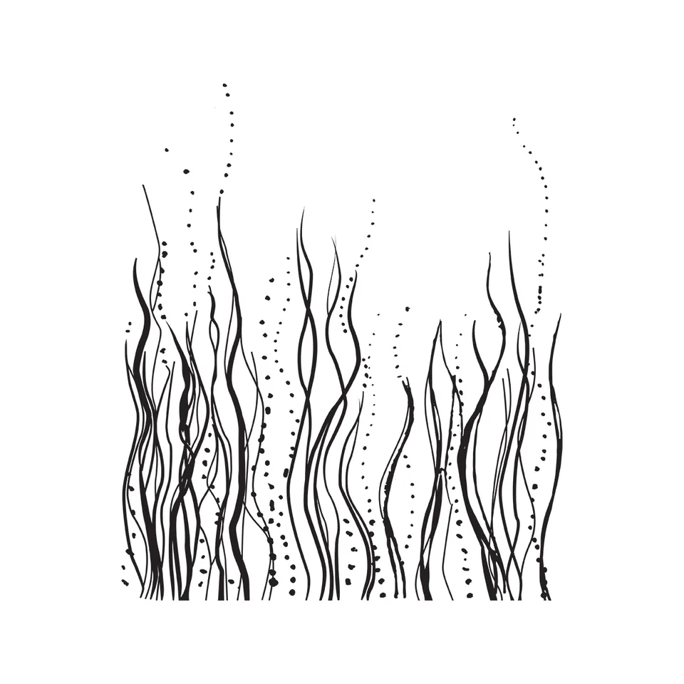 Jane Davenport Sea Kelp clearstempel silikonstempel