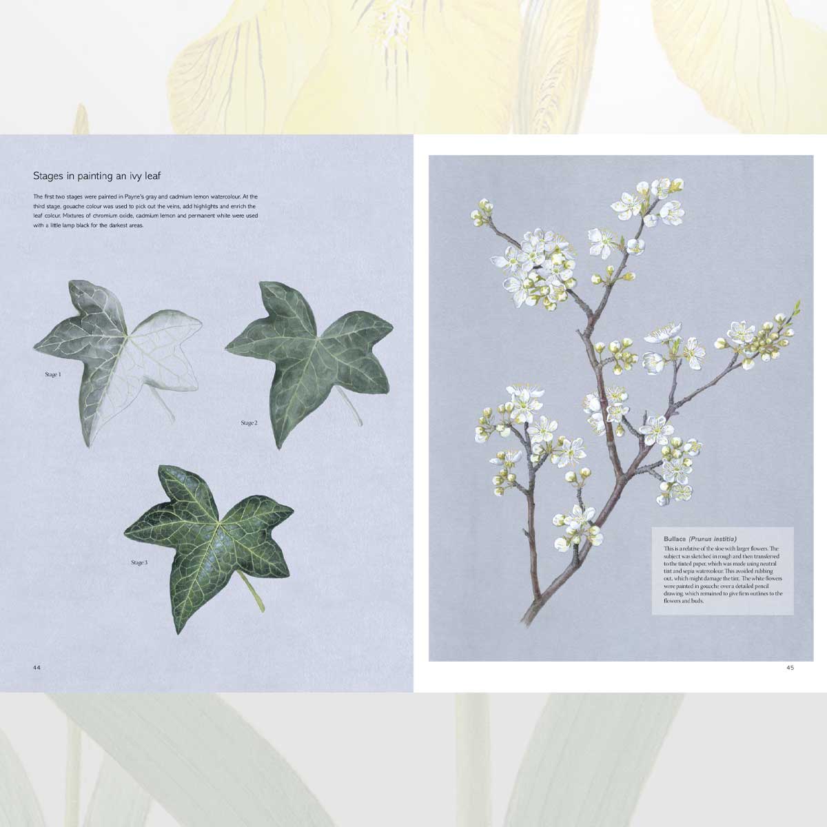 The Kew Book of Botanical Illustration bok innbundet