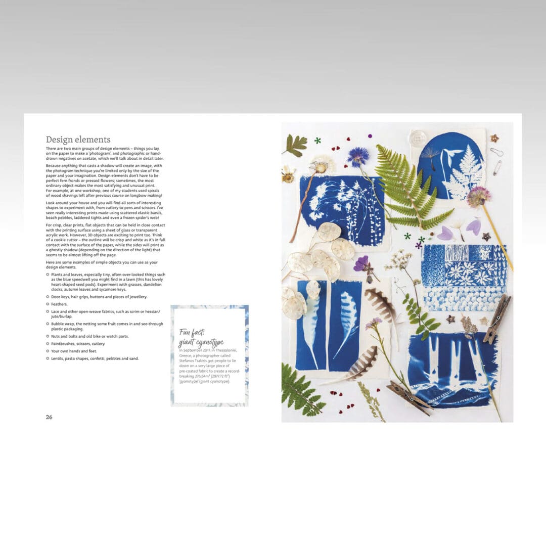 Beginner's Guide to Cyanotype bok engelsk