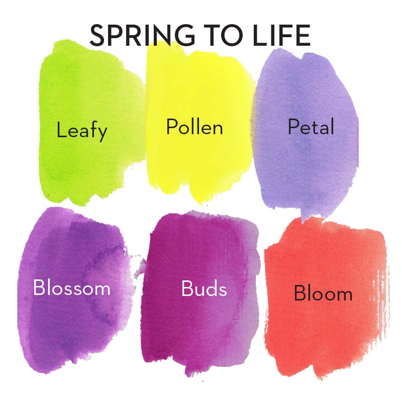Jane Davenport Spring to Life fargehjul blomst