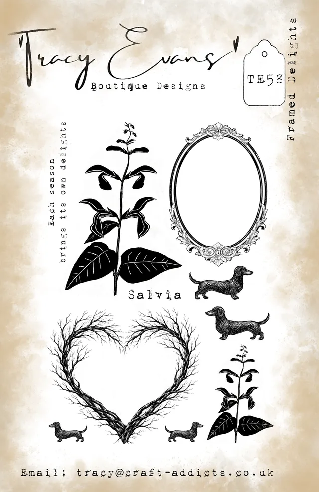 Tracy Evans Design TE058 Framed Delights stempel A5