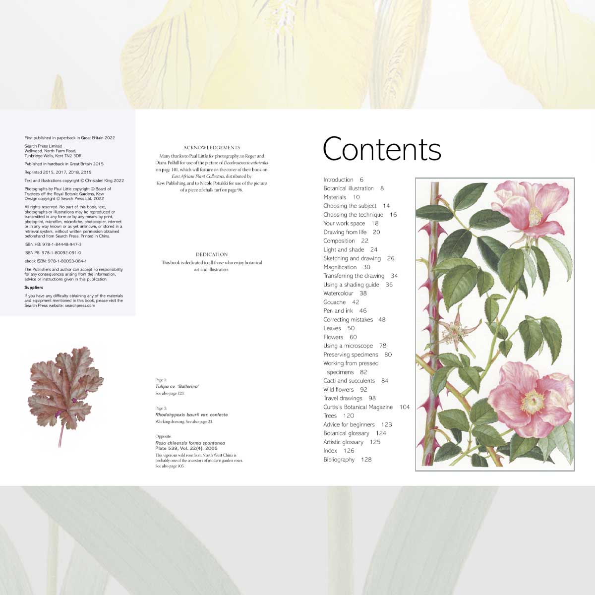 The Kew Book of Botanical Illustration bok innbundet