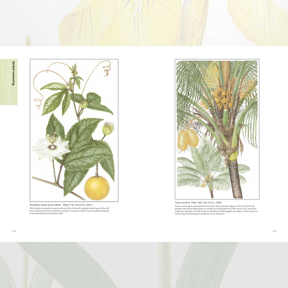 The Kew Book of Botanical Illustration bok innbundet