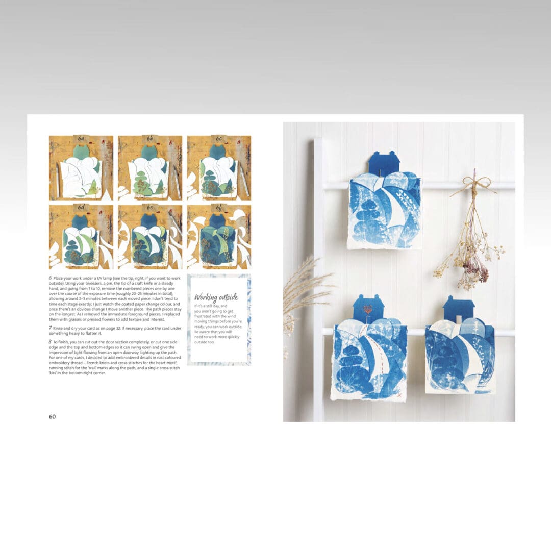 Beginner's Guide to Cyanotype bok engelsk