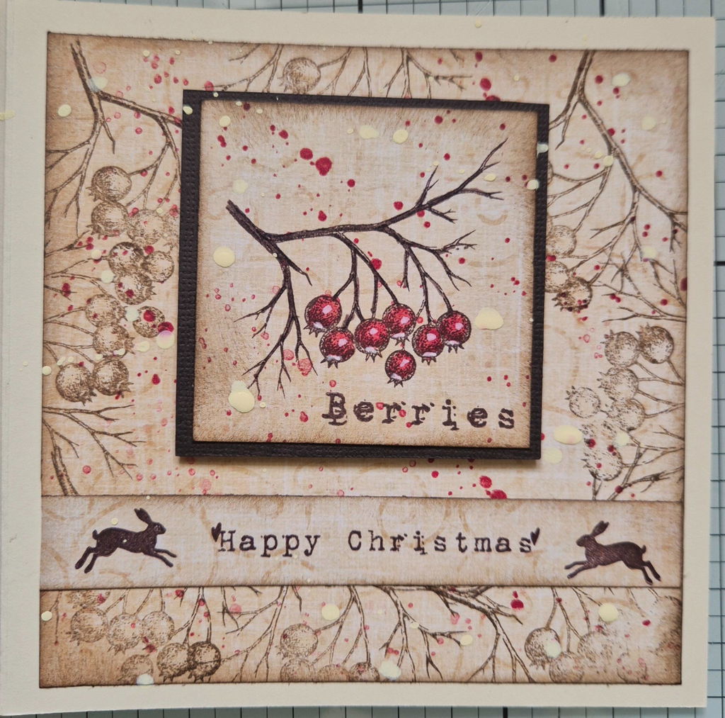 Tracy Evans Design TE055 Berries stempel A6 bær