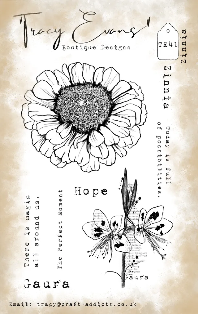 Tracy Evans Design TE041 stempel Zinnia A6
