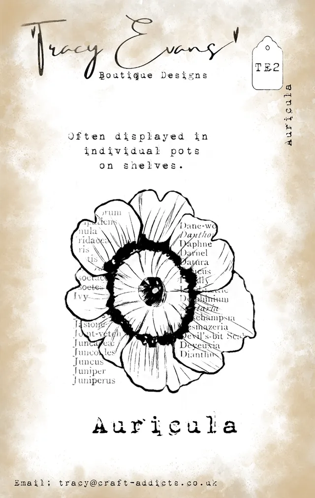 Tracy Evans Design TE002 stempel A7 Auricula