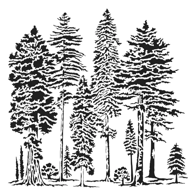 The Crafters Workshop TCW1040s Majestic Forest sjablong 6x6 naturmotiv