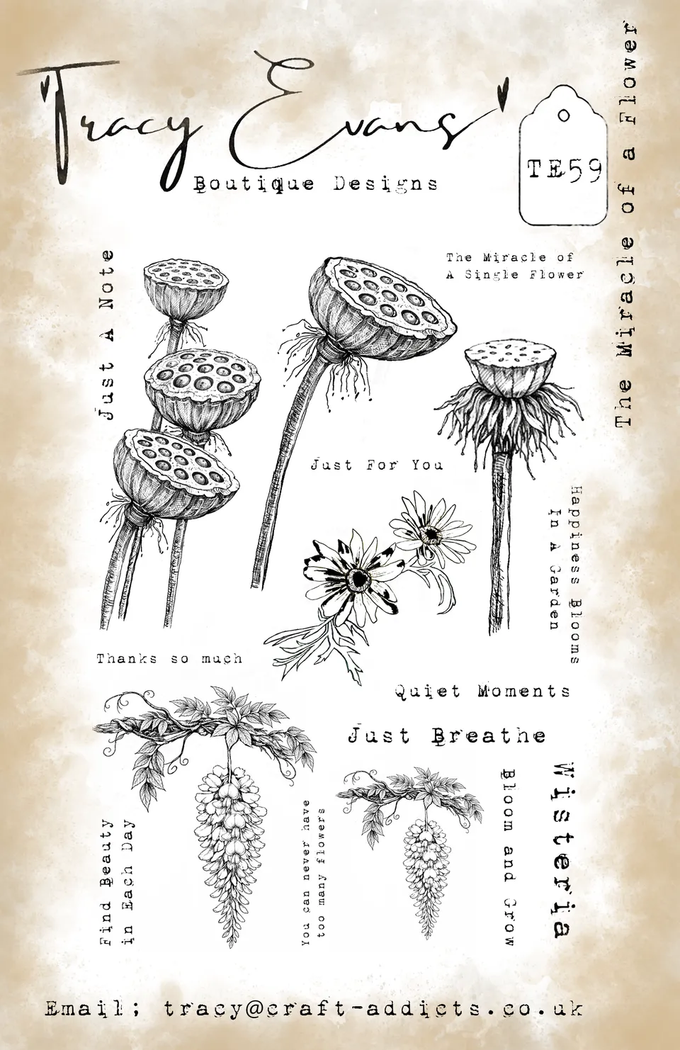 Tracy Evans Design TE059 stempelsett A5 blomster