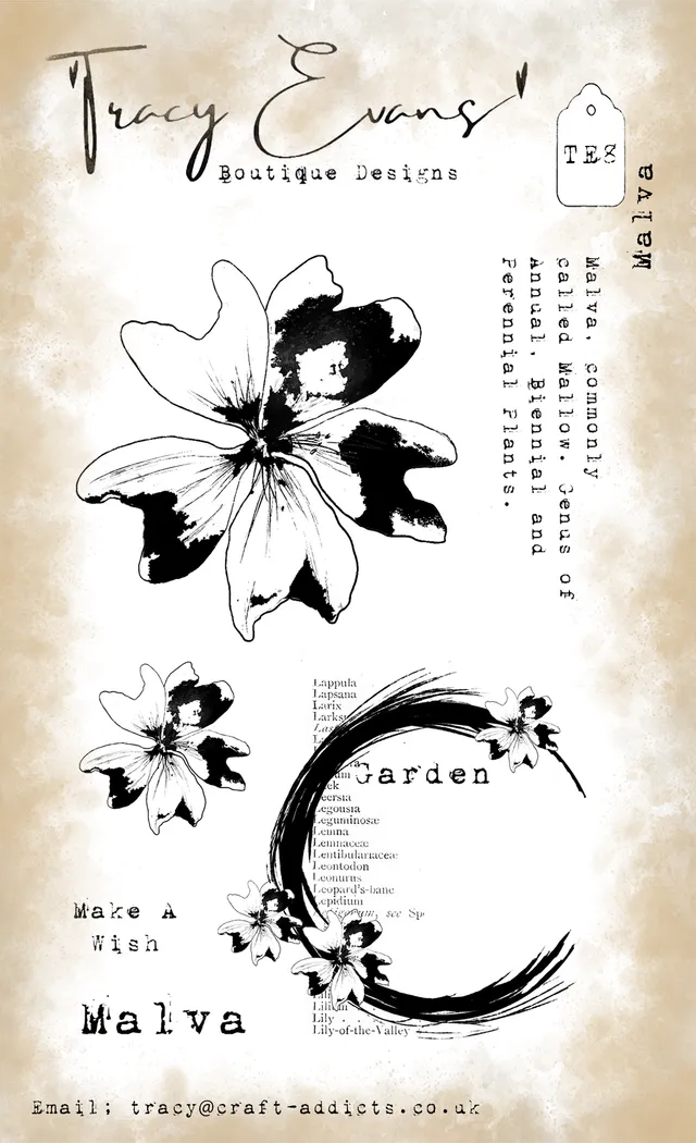 Tracy Evans Design TE008 Malva stempel A6 blomst